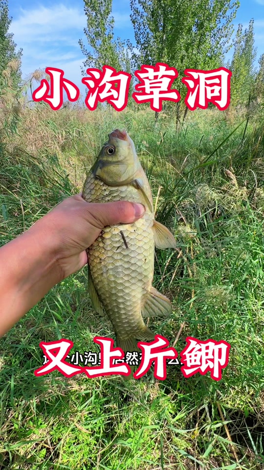 野钓者的匠心与自在 与小沈一同沉醉渔具世界